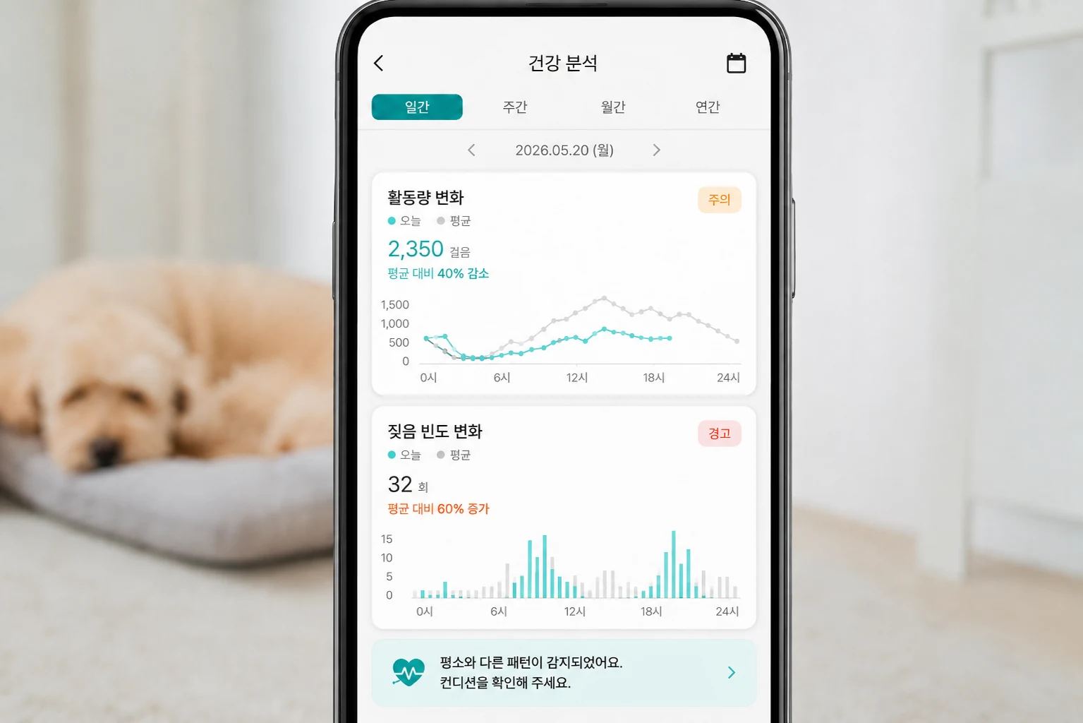 PETRA 앱의 건강 분석 화면 — 활동량 변화와 짖음 빈도 변화 그래프가 함께 보이는 모습